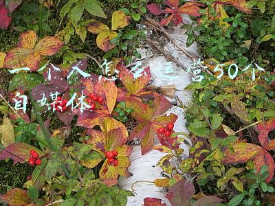 一个人自媒体创业(一个人想从事自媒体创业，应该从哪里着手呢？这几方面)