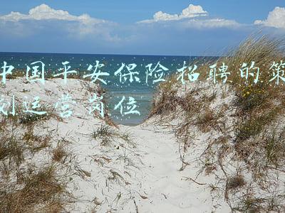 中国平安保险官网首页(中国平安财产保险股份有限公司公告)