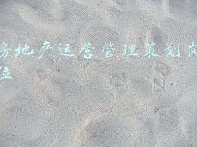 房地产运营管理策划岗位