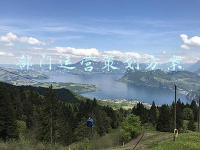 部门运营策划方案