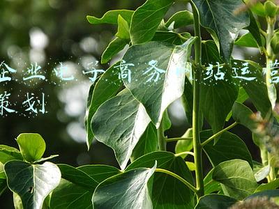 企业电子商务网站运营策划