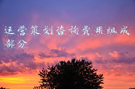 策划公司收费明细(深圳策划公司收费标准是什么)