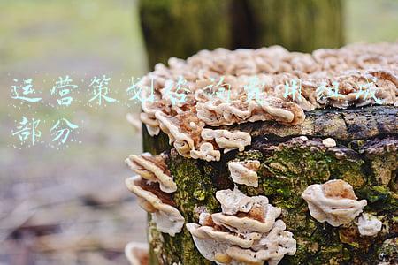 运营策划咨询费用组成部分