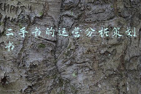 二手书营销计划(二手车市场爆火，五大促销策略助你卖全球)