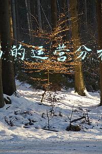 二手书的运营分析策划书