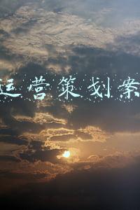 公司运营策划案模板