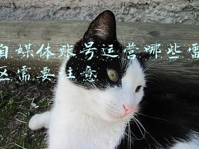 财务雷区管理制度(企业上市财务合规指导汇编：11个关注点，15个雷区)