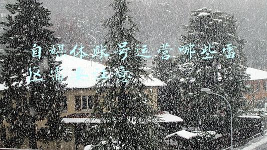 雷区(陈醋、米醋、白醋原来差别这么大！挑选时关键看这3点，快速避开雷区)