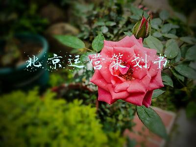北京运营策划书