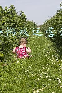 微信小游戏运营活动策划