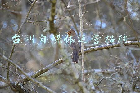 台州就业招聘网官网(浙江台州“就地过年”暖人心：留工稳岗促生产)