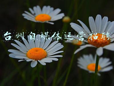 台州人力网最新招聘(台州公安招聘警务辅助人员，招83名！)