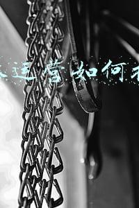 自媒体运营如何把控品牌