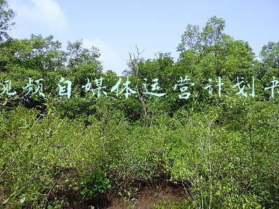 视频自媒体运营计划书