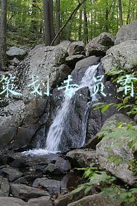 医美运营专员招聘(免费整容，还能赚钱升职)