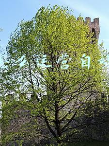 pr怎么运营自媒体