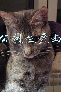 华与华策划公司(华与华：喜茶别装B！喜茶创始人回应：你也别装懂)