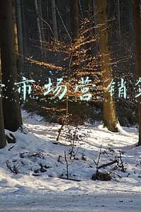运营市场营销策划