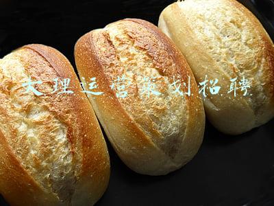 大理运营策划招聘