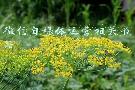 微信属于什么媒体(点赞！“上海民防”微信再度获评“2021年度中国优秀政务新媒体”)
