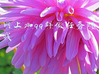 网上加qq群做任务赚钱