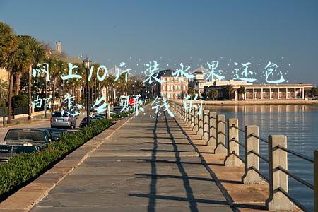 为什么卖水果10斤还包邮(足不出户买新鲜菜！蔬果10斤产地包邮，助农打开销路)