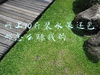 网上10斤装水果还包邮怎么赚钱的