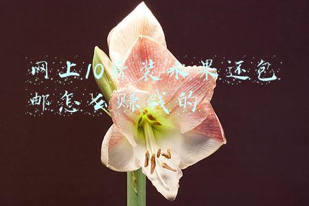 网上10斤装水果还包邮怎么赚钱的