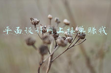 平面设计网上接单赚钱容易吗(平面设计师是如何快人一步接单赚钱的？这几个方法告诉你)