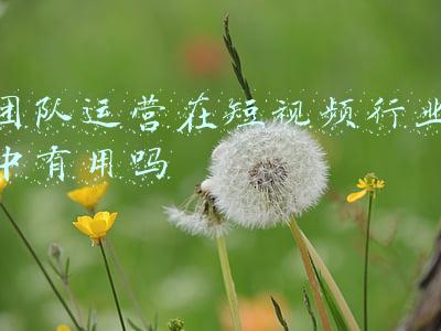 团队运营在短视频行业中有用吗