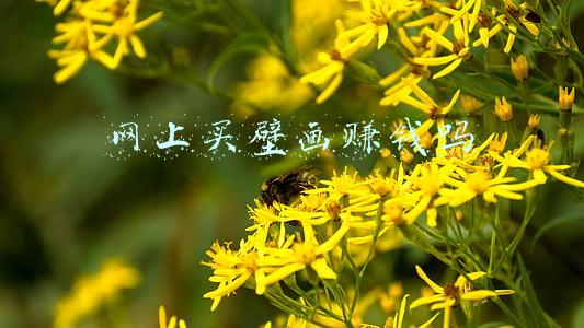 网上买壁画赚钱吗