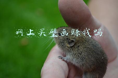 壁画素材网(室内墙绘可以选用哪种素材？手绘壁画价格揭晓)