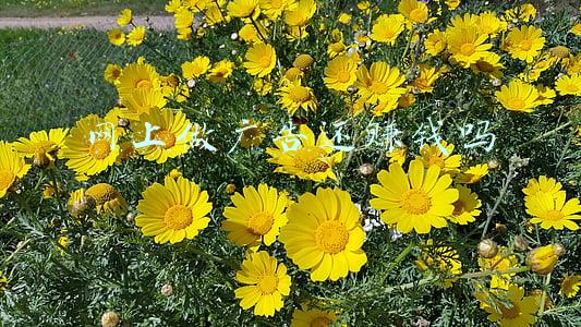 广告赚钱吗(刷广告就能挣钱？男子尝到甜头后，亲友纷纷加入，结果没挣钱还“赔”了300万)