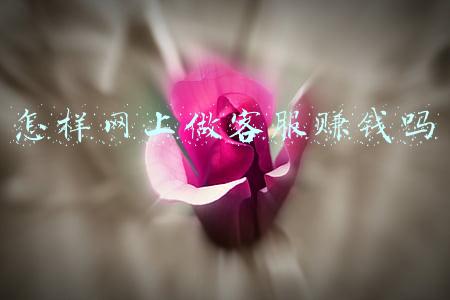 怎样网上做客服赚钱吗