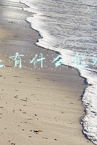 网上还有什么能赚钱的