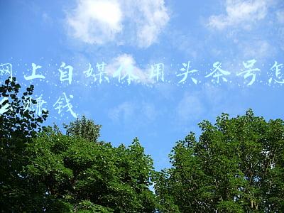 今日头条上如何做自媒体(新手怎么玩转自媒体运营？学会这4点，让你快速抢占头条号流量！)