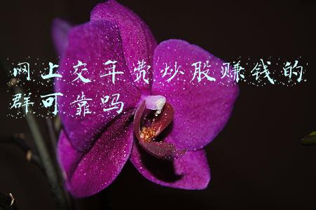 如何在网上交专利年费(国家知识产权局专利申请流程及费用)