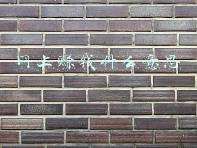 网络赚了是什么意思(点赞转发赚了400元，她“再接再厉”，4万多没了)