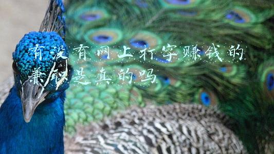 打字兼职靠谱吗(一分钟带你了解打字员兼职骗局)