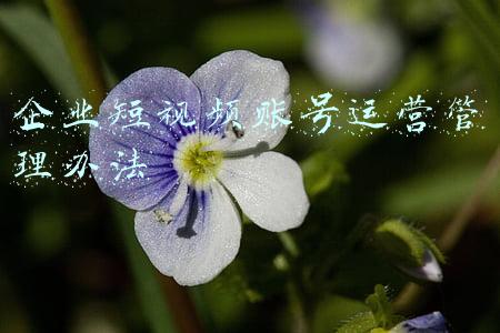 企业薪酬管理办法(无论薪酬有多少种模式，我认为都离不开这三种薪酬设计)