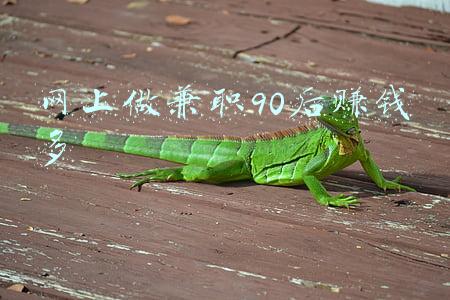 网上做兼职90后赚钱多