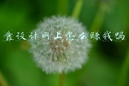 靠设计网上怎么赚钱吗