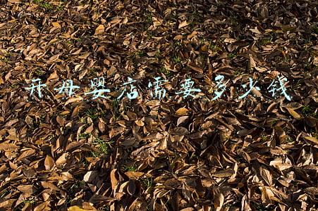 开一个母婴店多少钱-想开母婴店大概多少钱