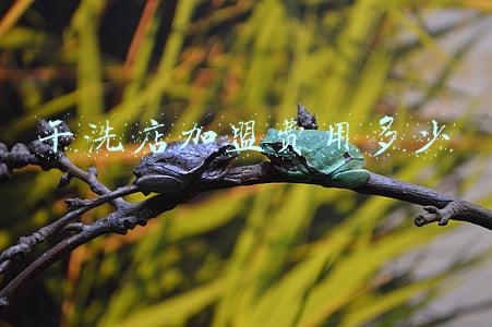 干洗店加盟费一般多少_干洗店加盟费用多少钱