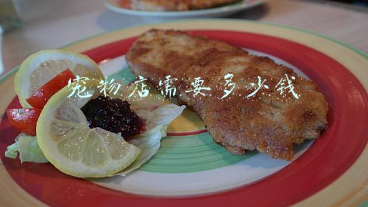 开个宠物店的费用_宠物店投资需要多少钱