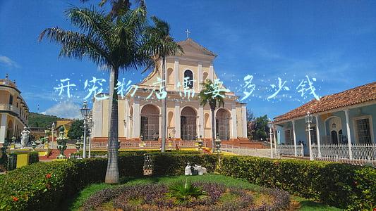 上海开宠物店多少钱 上海开一家宠物店需要多少钱