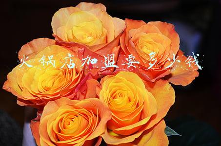 麻辣火锅加盟店多少钱(麻辣火锅加盟费需要多少钱)