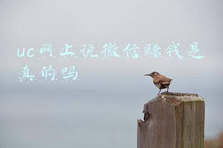 uc小说网(五个免费下载小说的网站（资源丰富）)