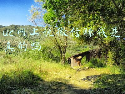 uc网上说微信赚钱是真的吗