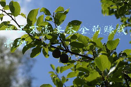 没本金怎么赚钱(本金少，如何投资？我的实战经验分享)